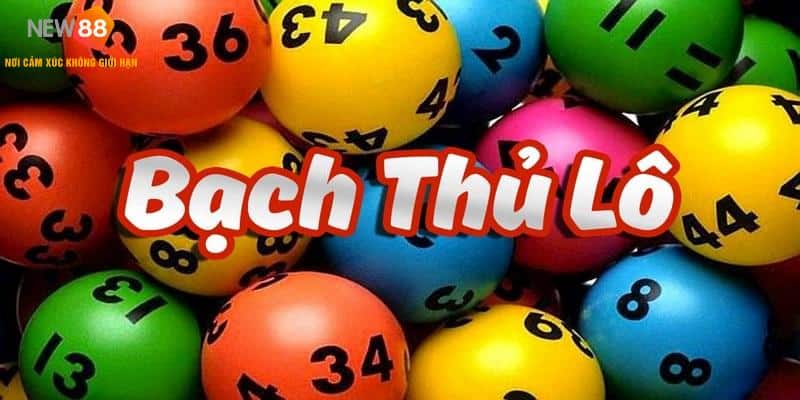 Tìm hiểu về bạch thủ lô