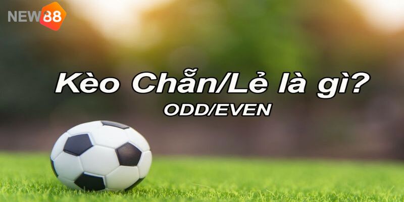 Tìm hiểu chi tiết về hình thức cá cược E/O trong bộ môn bóng đá