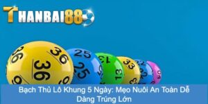 Bạch thủ lô khung 5 ngày